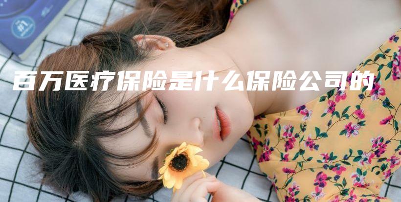 百万医疗保险是什么保险公司的-保点通