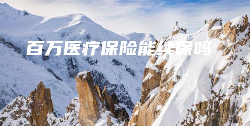 百万医疗保险能续保吗-保点通