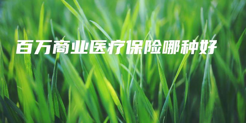百万商业医疗保险哪种好-保点通
