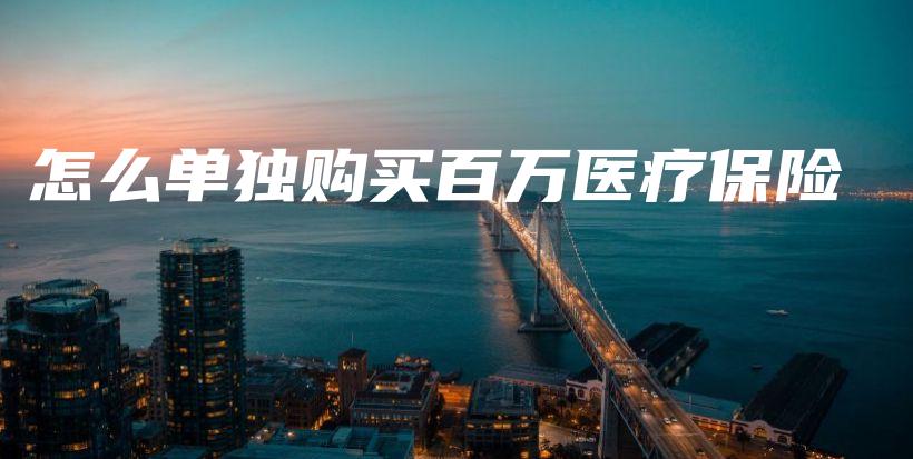 怎么单独购买百万医疗保险-保点通