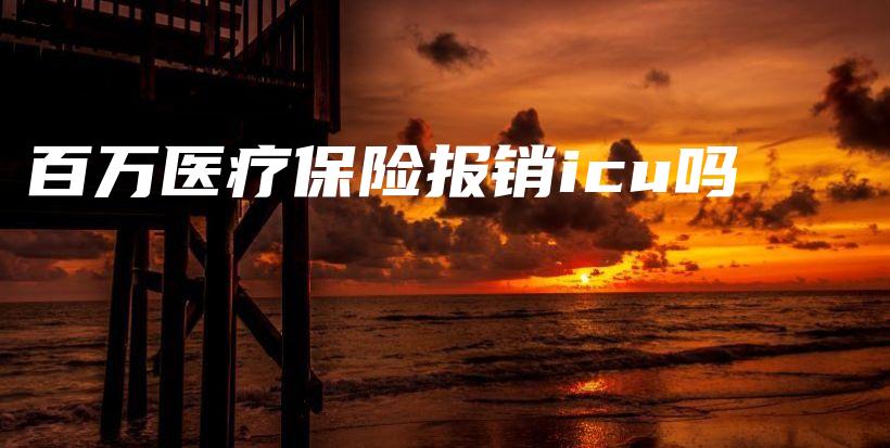 百万医疗保险报销icu吗-保点通