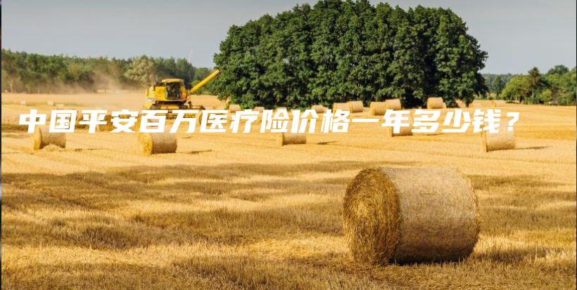 中国平安百万医疗险价格一年多少钱？-保点通