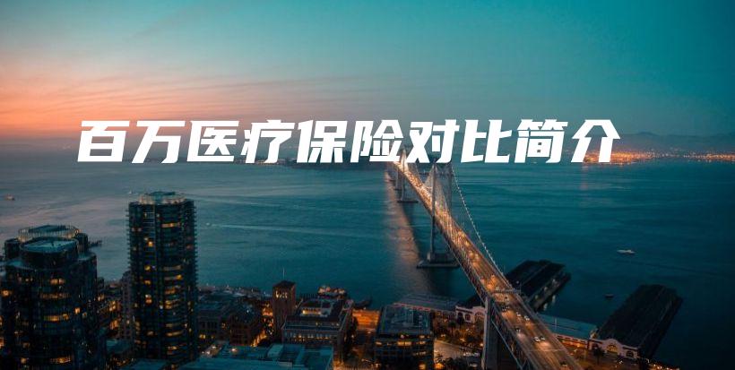 百万医疗保险对比简介-保点通