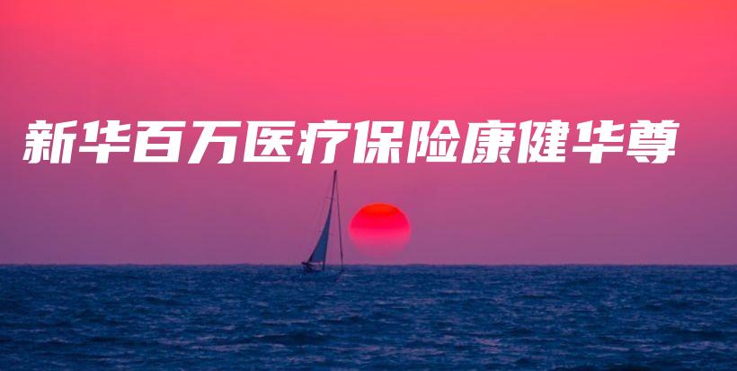 新华百万医疗保险康健华尊-保点通