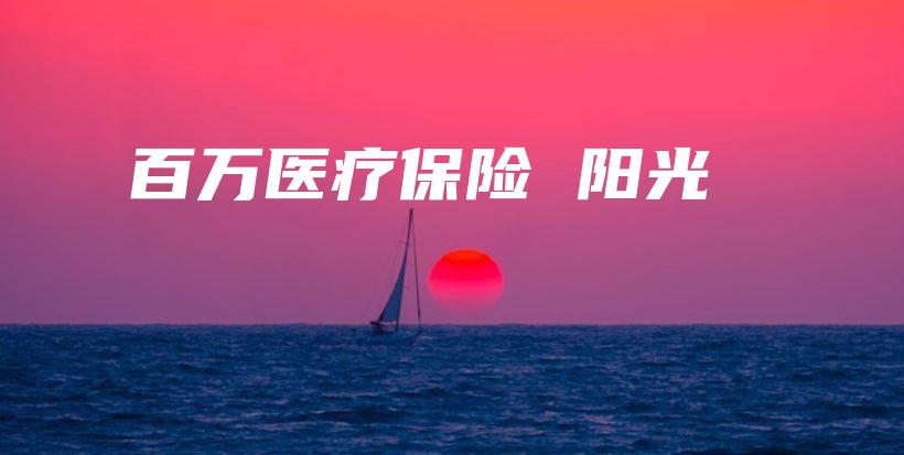 百万医疗保险 阳光-保点通