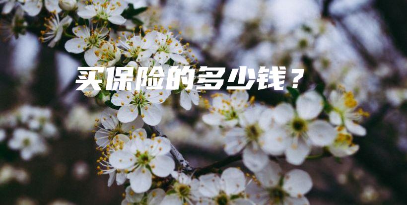 买保险的多少钱？-保点通