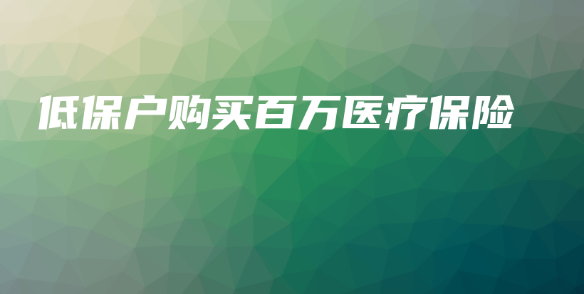 低保户购买百万医疗保险-保点通