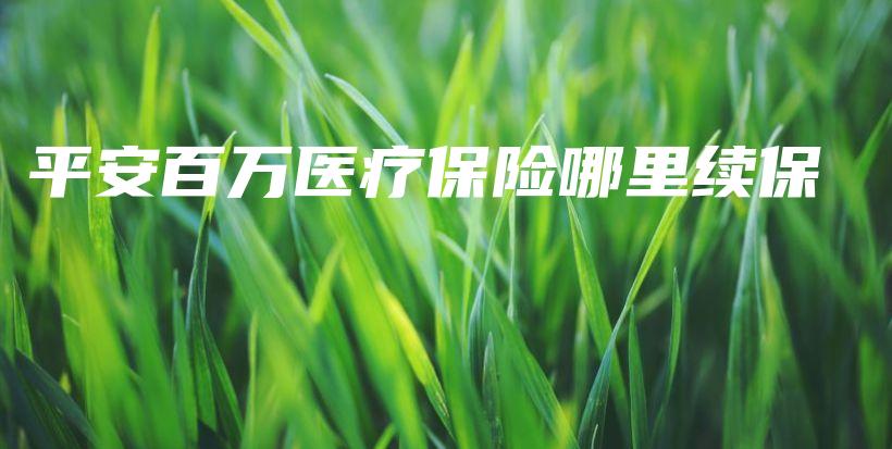平安百万医疗保险哪里续保-保点通
