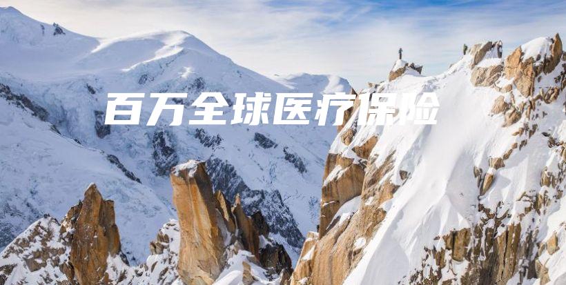 百万全球医疗保险-保点通