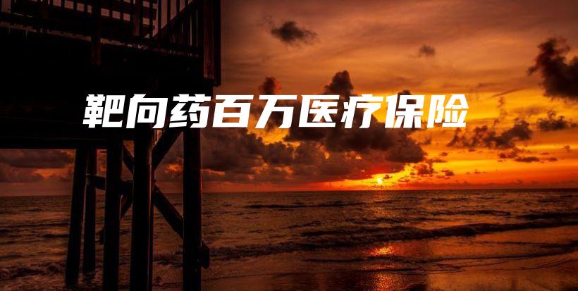 靶向药百万医疗保险-保点通