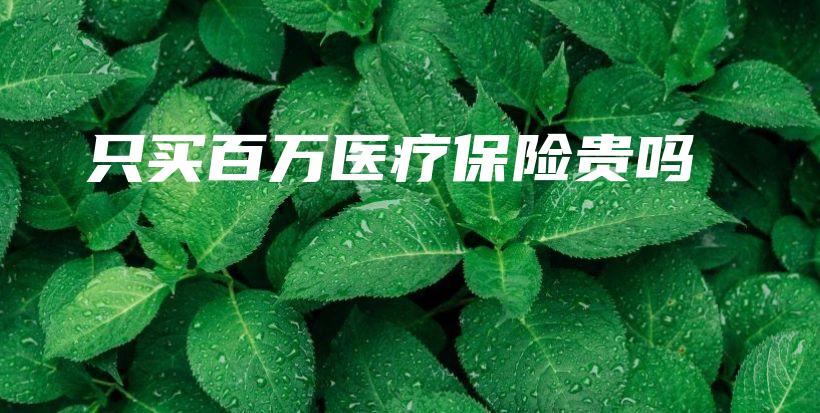 只买百万医疗保险贵吗-保点通