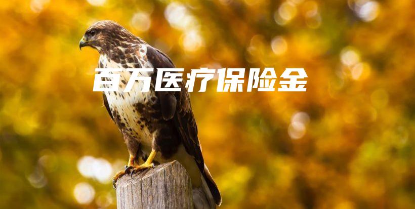 百万医疗保险金插图 百万医疗保险金插图