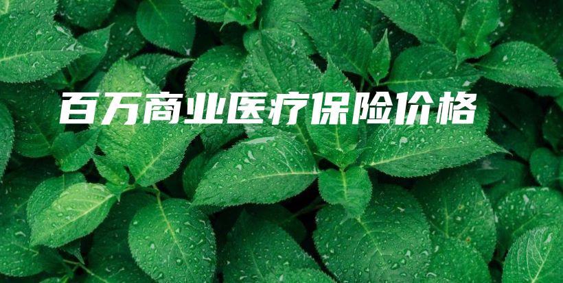 百万商业医疗保险价格-保点通