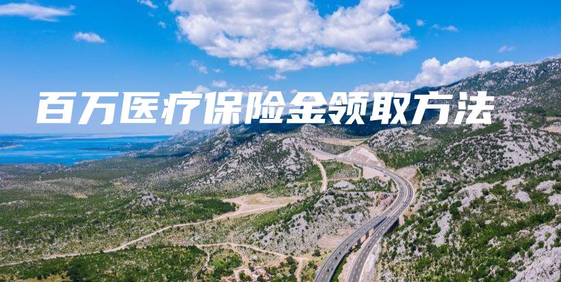 百万医疗保险金领取方法-保点通