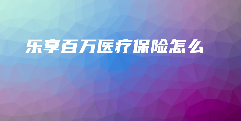 乐享百万医疗保险怎么-保点通