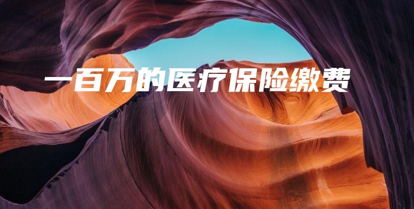 一百万的医疗保险缴费-保点通