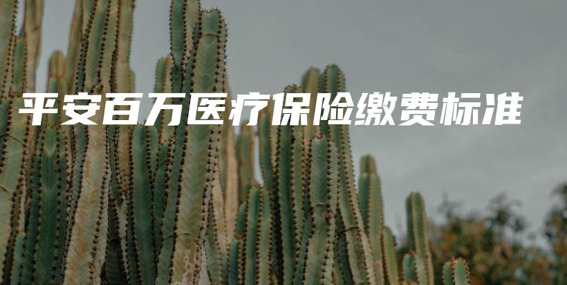 平安百万医疗保险缴费标准-保点通