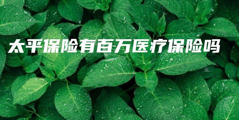 太平保险有百万医疗保险吗-保点通