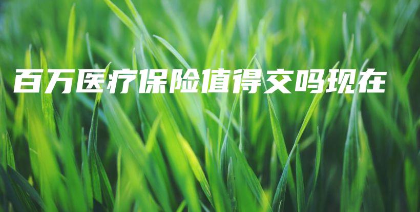 百万医疗保险值得交吗现在-保点通