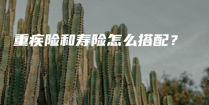 重疾险和寿险怎么搭配？-保点通