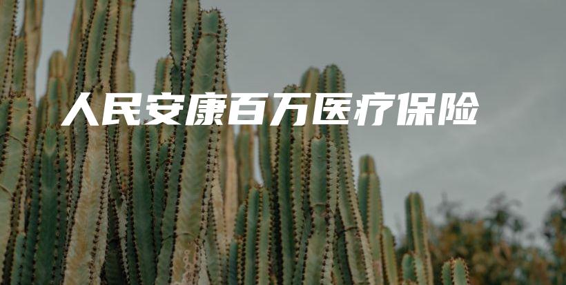 人民安康百万医疗保险-保点通