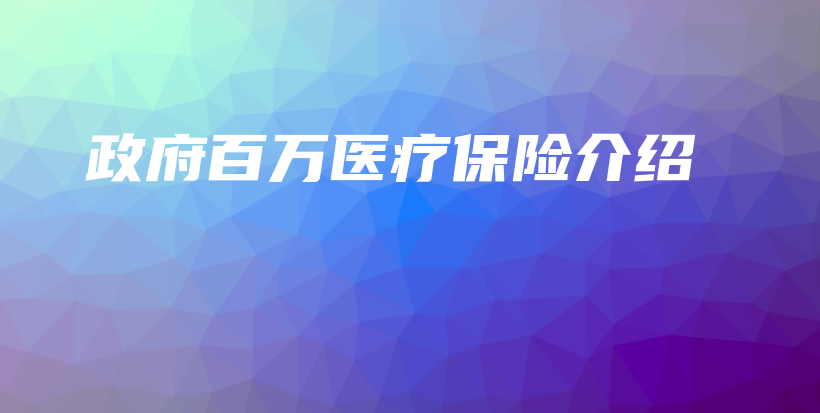 政府百万医疗保险介绍-保点通