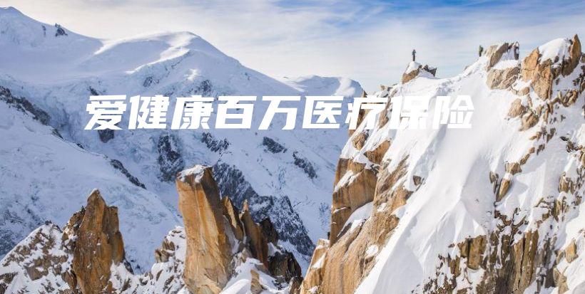 爱健康百万医疗保险-保点通