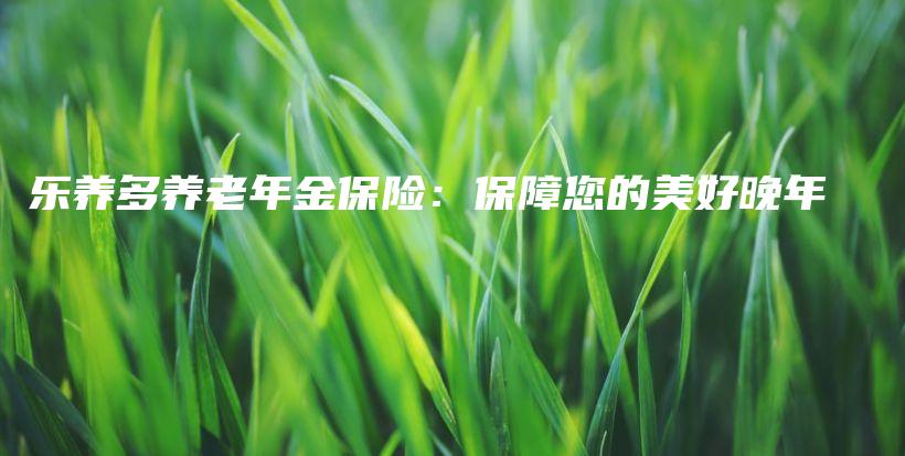 乐养多养老年金保险：保障您的美好晚年-保点通