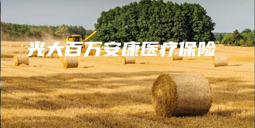 光大百万安康医疗保险-保点通