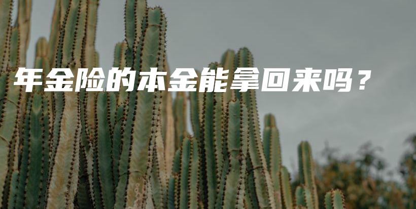 年金险的本金能拿回来吗？-保点通