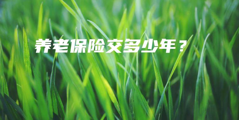 养老保险交多少年？-保点通