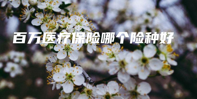 百万医疗保险哪个险种好-保点通