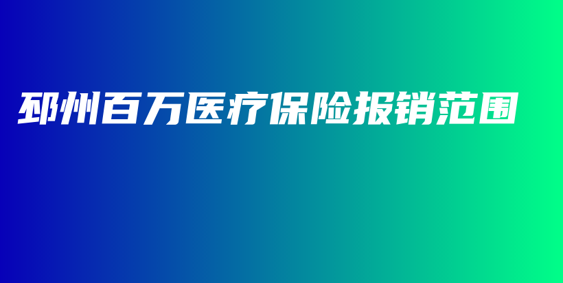 邳州百万医疗保险报销范围-保点通