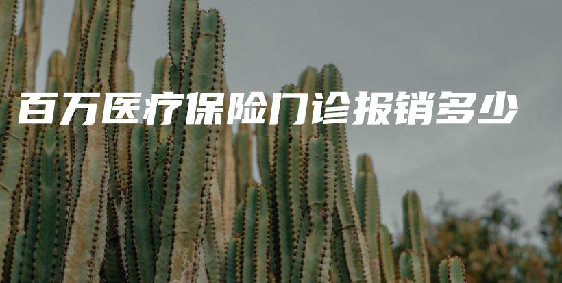 百万医疗保险门诊报销多少-保点通
