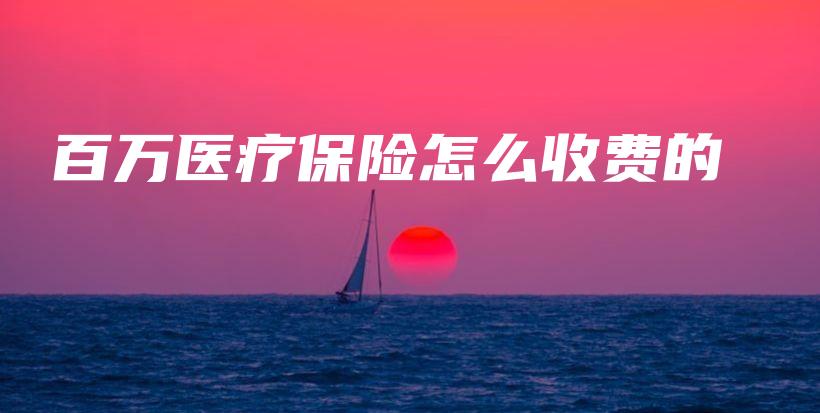 百万医疗保险怎么收费的-保点通
