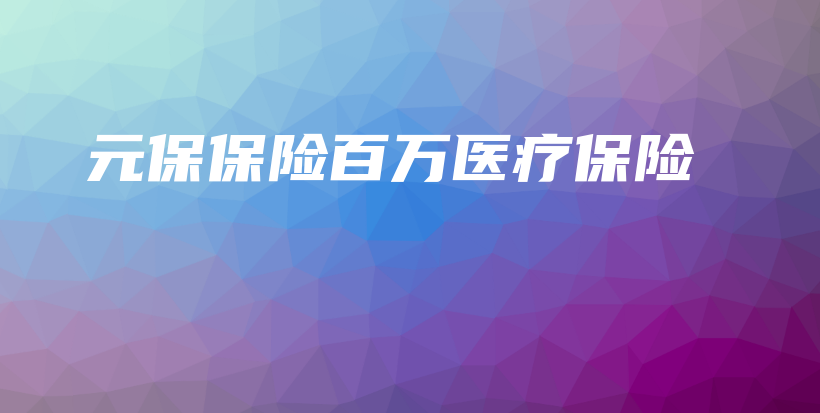 元保保险百万医疗保险-保点通