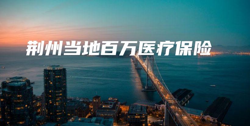 荆州当地百万医疗保险-保点通