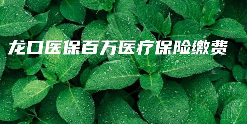 龙口医保百万医疗保险缴费-保点通