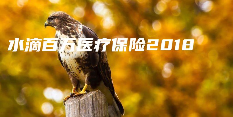 水滴百万医疗保险2018-保点通