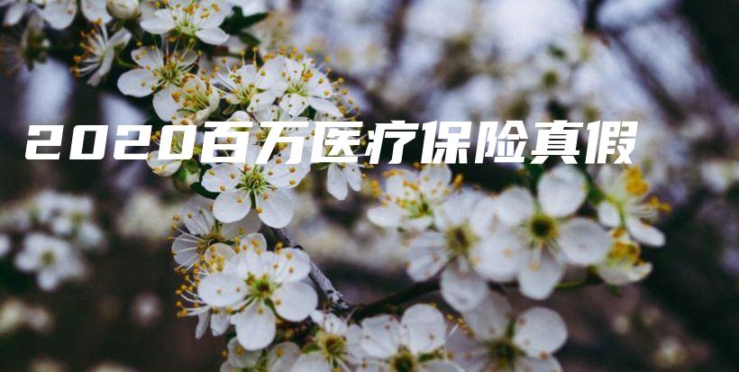 2020百万医疗保险真假-保点通