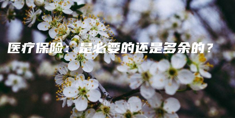 医疗保险：是必要的还是多余的？-保点通