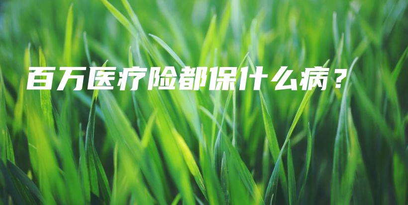 百万医疗险都保什么病？-保点通