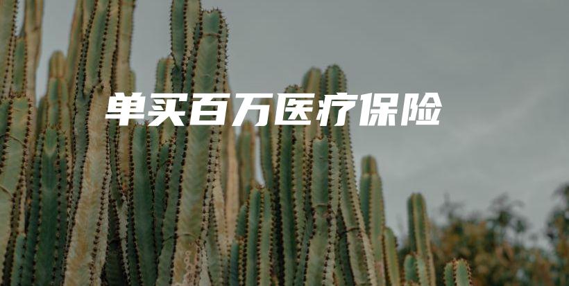 单买百万医疗保险-保点通