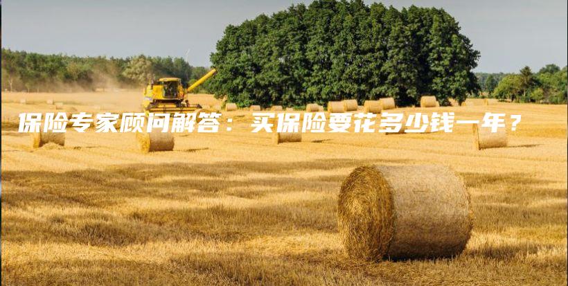 保险专家顾问解答：买保险要花多少钱一年？-保点通