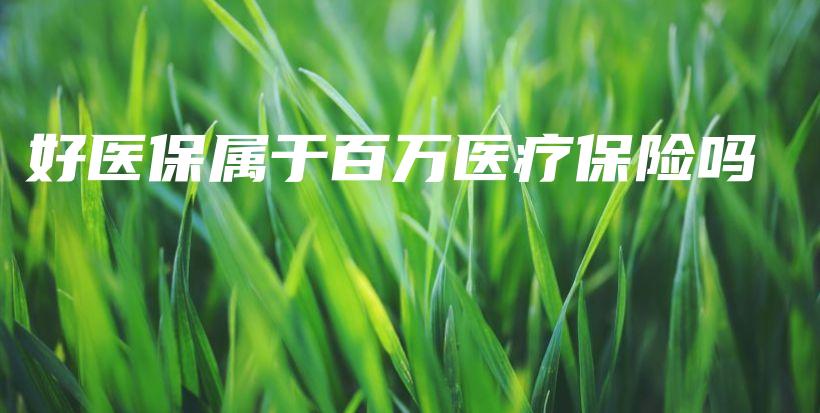 好医保属于百万医疗保险吗-保点通