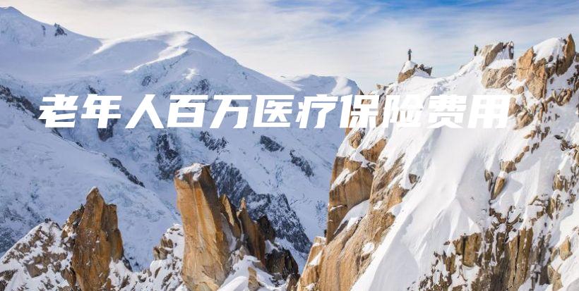老年人百万医疗保险费用-保点通