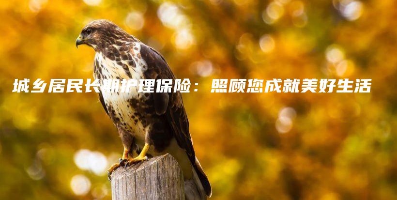 城乡居民长期护理保险：照顾您成就美好生活-保点通