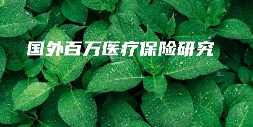 国外百万医疗保险研究-保点通