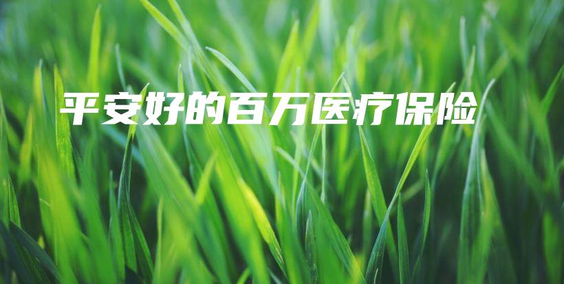平安好的百万医疗保险-保点通