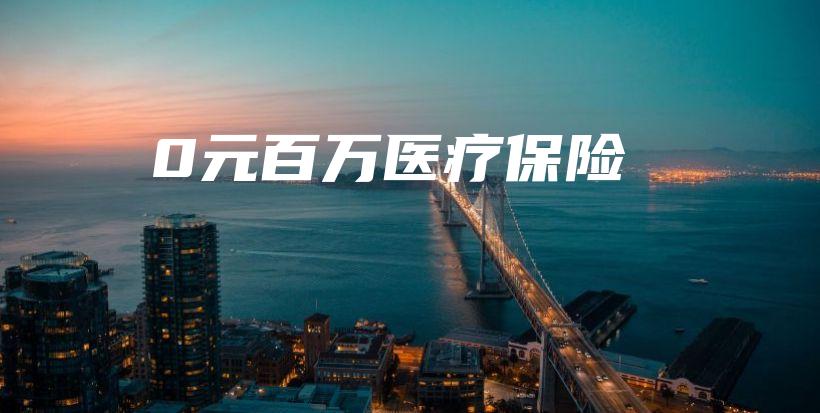 0元百万医疗保险-保点通